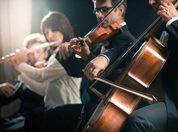 Orchestra playing string and wind instruments in concert.