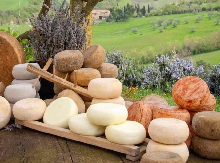 Artisanal cheeses on a wooden table in the countryside.